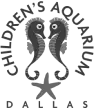 05-childrensaquariumdallas-1.png