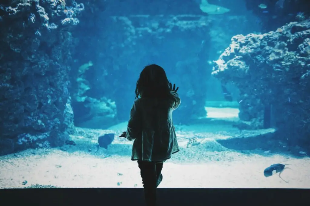 Aquarium ticketing and zoo ticketing software from VBO Tickets- grow your sales and satisfaction